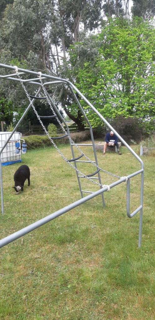 side chain ladder