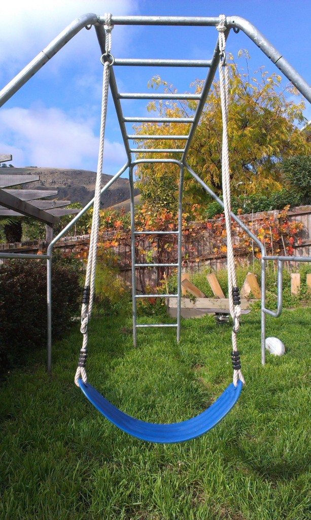 strap style swing